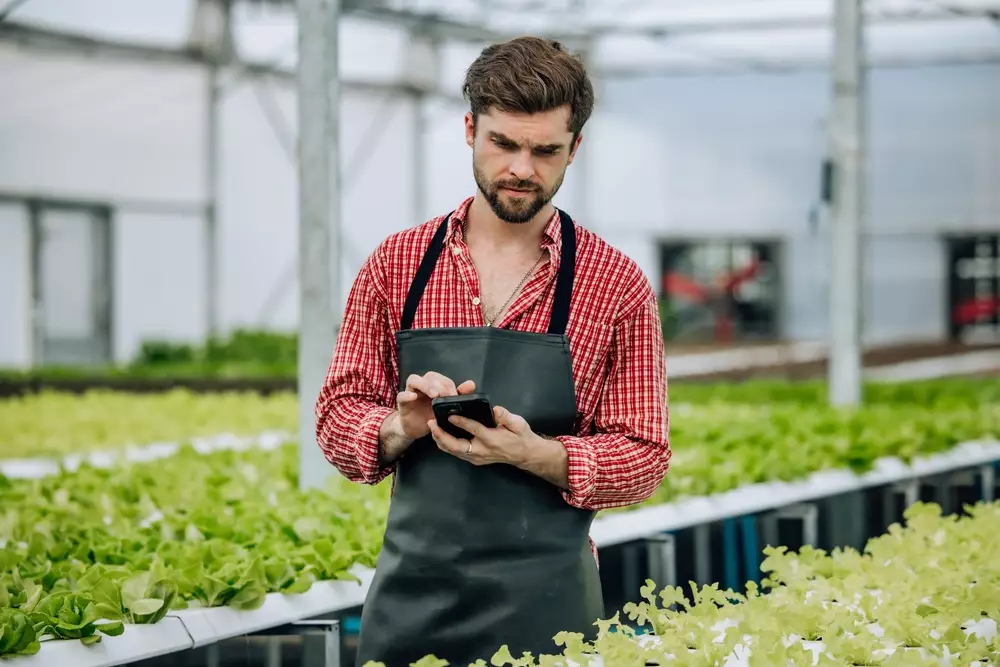 Unlocking Growth: The Power of Revenue-Based Financing for Small Businesses